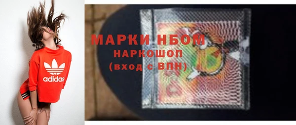 стафф Алзамай